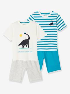 Lote de 2 pijamas para menino, dinossauro Menino 2-14 anos-Lote de 2 pijamas para menino, dinossauro