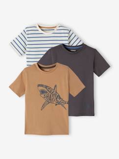 Lote de 3 t-shirts sortidas de mangas curtas, para menino Menino 2-14 anos-Lote de 3 t-shirts sortidas de mangas curtas, para menino