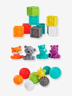 Brinquedos-Primeira idade-Conjunto de 8 bolas, 4 animais e 8 cubos sensoriais, da INFANTINO