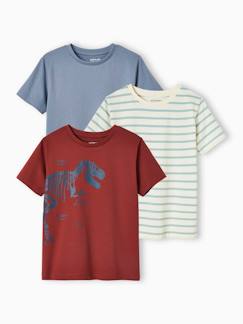 Lote de 3 t-shirts sortidas de mangas curtas, para menino -Lote de 3 t-shirts sortidas de mangas curtas, para menino