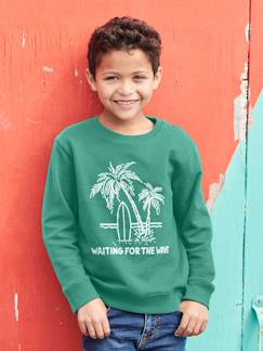 Sweat de gola redonda com motivo, para menino -Sweat de gola redonda com motivo, para menino