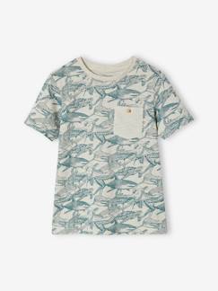 Menino 2-14 anos-T-shirt com motivos gráficos de mangas curtas, para menino