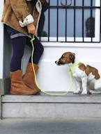 Botas em pele, para menina Camel+Preto 