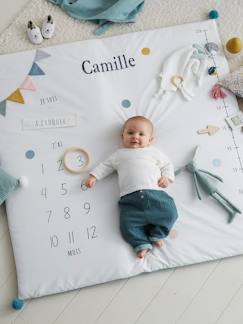 Têxtil-lar e Decoração-Decoração-Tapete cenário de fotografias personalizável, para bebé