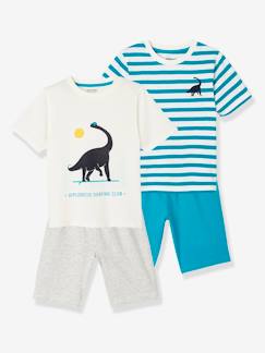 Menino 2-14 anos-Pijamas-Lote de 2 pijamas para menino, dinossauro
