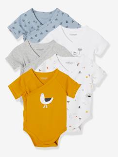Bebé 0-36 meses-Bodies-Lote de 5 bodies gaivota, de mangas curtas, abertura à frente, para recém-nascido