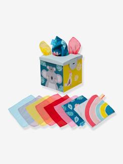 Brinquedos-Primeira idade-Primeiras manipulações-Caixa com lenços - TAF TOYS