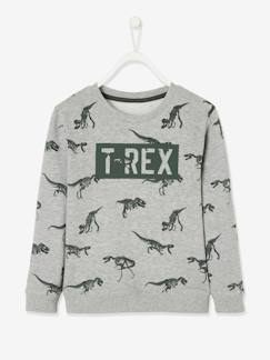 Menino 2-14 anos-Camisolas, casacos de malha, sweats-Sweat com dinossauro, para menino
