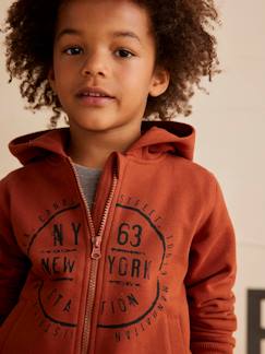 Menino 2-14 anos-Camisolas, casacos de malha, sweats-Sweatshirts-Casaco com fecho e capuz, motivo gráfico, para menino