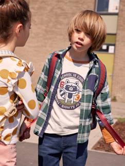 Menino 2-14 anos-Camisas-Camisa aos quadrados, para menino
