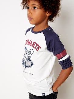 Menino 2-14 anos-T-shirts, polos-Camisola Harry Potter®, de mangas compridas, para criança