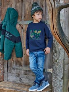 Menino 2-14 anos-T-shirts, polos-T-shirts-Camisola "winter wood", detalhes em borboto e bordados