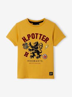 Menino 2-14 anos-T-shirts, polos-T-shirt Harry Potter®, para criança