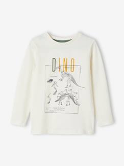 Menino 2-14 anos-T-shirts, polos-T-shirts-Camisola com dinossauros de mangas compridas, para menino