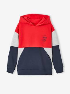 Menino 2-14 anos-Camisolas, casacos de malha, sweats-Sweat com capuz efeito colorblock, para menino