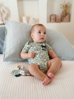 Bebé 0-36 meses-Bodies-Body selva de mangas curtas, para bebé