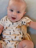 Lote de 2 pijamas-macacão, para bebé menino, Oeko Tex® VERDE MEDIO BICOLOR/MULTICOLOR 