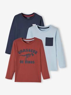 Menino 2-14 anos-T-shirts, polos-T-shirts-Lote de 3 camisolas sortidas de mangas compridas, para menino