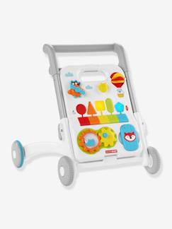 Brinquedos-Primeira idade- Baloiços, carrinhos de marcha, andarilhos e triciclos-Carrinho de atividades 4 em 1, Explore & More - SKIP HOP