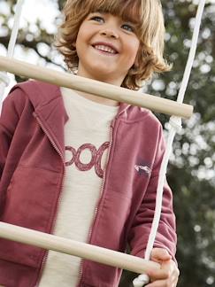 Menino 2-14 anos-Camisolas, casacos de malha, sweats-Casaco com capuz e fecho, bolsos fantasia, para menino
