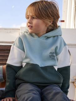Menino 2-14 anos-Camisolas, casacos de malha, sweats-Sweatshirts-Sweat com capuz efeito colorblock, para menino