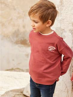 Menino 2-14 anos-Camisolas, casacos de malha, sweats-Sweatshirts-Sweat com motivo no peito, para menino
