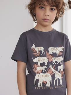 Menino 2-14 anos-T-shirts, polos-T-shirts-T-shirt animais em puro algodão bio, para menino
