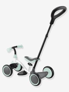 Brinquedos-Primeira idade- Baloiços, carrinhos de marcha, andarilhos e triciclos-Bicicleta de aprendizagem 3 em 1 - GLOBULAR