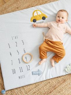 Brinquedos-Primeira idade-Tapete personalizável com cenário para fotografias de bebé, em gaze de algodão, Carrinhos