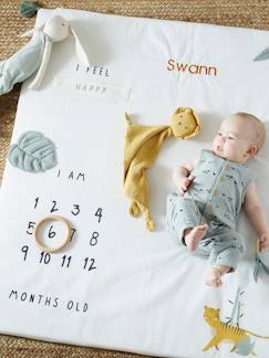 Têxtil-lar e Decoração-Roupa de cama bebé-Mantas, edredons-Tapete cenário de fotografias personalizável, para bebé, Hanói