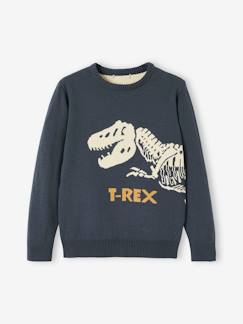 Menino 2-14 anos-Camisolas, casacos de malha, sweats-Camisola em jacquard com dinossauro, para menino