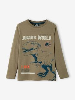 Menino 2-14 anos-T-shirts, polos-Camisola Mundo Jurássico®, de mangas compridas, para criança