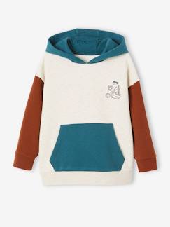 Menino 2-14 anos-Camisolas, casacos de malha, sweats-Sweatshirts-Sweat desportiva, com capuz, efeito colorblock, para menino