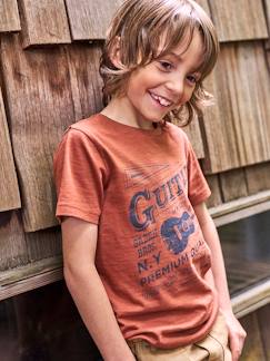 Menino 2-14 anos-T-shirt com guitarra e mangas curtas, para menino