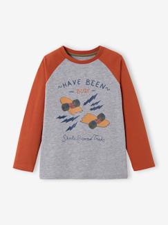 Menino 2-14 anos-T-shirts, polos-Camisola com motivo gráfico e mangas raglan de cor, para menino