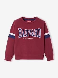 Menino 2-14 anos-Camisolas, casacos de malha, sweats-Sweatshirts-Sweat Harvard®, para criança