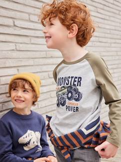 Menino 2-14 anos-T-shirts, polos-Camisola com motivo gráfico e mangas raglan de cor, para menino