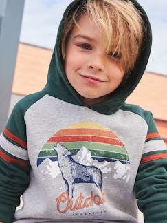 Menino 2-14 anos-Camisolas, casacos de malha, sweats-Sweatshirts-Sweat com capuz e motivo gráfico, mangas raglan, para menino