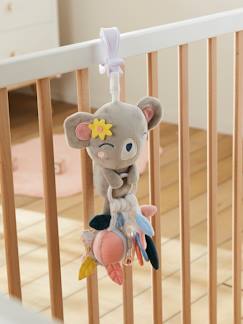 Brinquedos-Primeira idade-Bonecos-doudou, peluches e brinquedos em tecido-Brinquedo de estímulo com pinça, Coala
