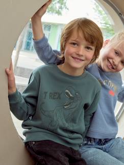 Menino 2-14 anos-Camisolas, casacos de malha, sweats-Sweatshirts-Sweat com motivo gráfico grande à frente, para menino