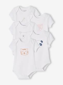 Bebé 0-36 meses-Lote de 5 bodies «animais» com abertura, mangas curtas, para bebé