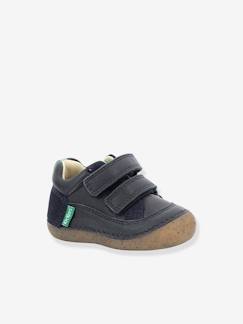 Calçado-Calçado bebé (17-26)-Botinhas para bebé, Sostankro da KICKERS®, especial primeiros passos