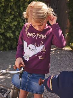 Menina 2-14 anos-Camisolas, casacos de malha, sweats-Sweat Harry Potter®, para criança