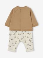 Conjunto de bebé: camisola aos favos + calças em moletão  