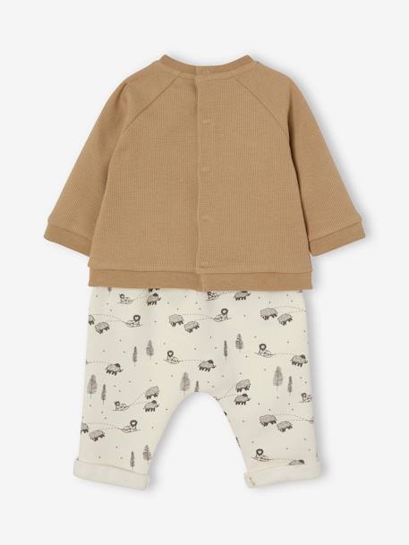 Conjunto de bebé: camisola aos favos + calças em moletão  