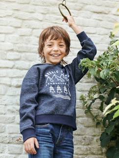 Menino 2-14 anos-Camisolas, casacos de malha, sweats-Sweatshirts-Sweat com capuz, animação à frente, para menino