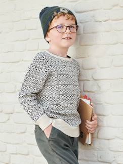Menino 2-14 anos-Camisolas, casacos de malha, sweats-Camisola em jacquard para menino