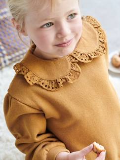 Menina 2-14 anos-Camisolas, casacos de malha, sweats-Sweatshirts -Sweat com gola Claudine, em bordado inglês, para menina