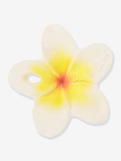 Brinquedos-Primeira idade-Hawaii, a Flor - OLI & CAROL