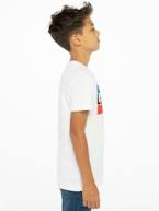 T-shirt Sportswear para criança com logótipo, da Levi's® branco+cinzento 